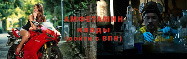 прущие грибы Абаза