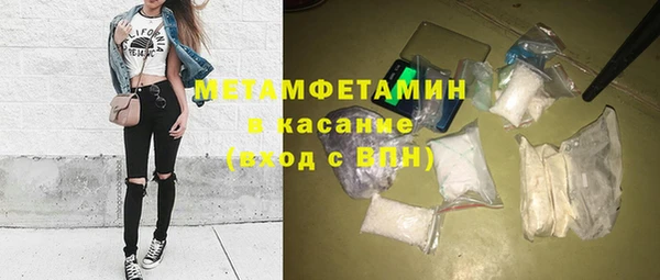 прущие грибы Абаза