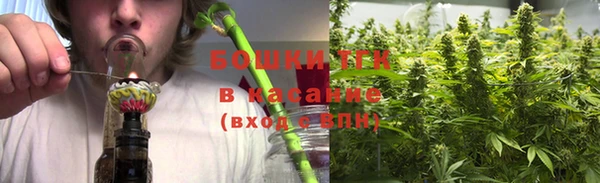 прущие грибы Алексин