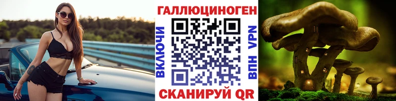 Галлюциногенные грибы Magic Shrooms  закладка  Ипатово 